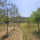 서창2동-17 이미지