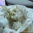 가산디자인 | [공지] [금천구 부케] 블로썸가든 야외촬영 네츄럴무드 가산 부케 인생 부케 후기