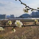 취미 타로 이미지