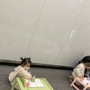 유주팔레트 이미지