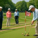 파크골프오후 이미지