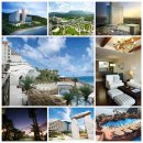 대명리조트 회원권! 신규 한정 분양 ! 20평형 2,250만원부터 이미지