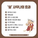 토성사우나 이미지
