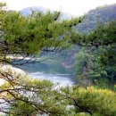 한반도면-6 이미지