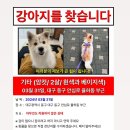 율하초등 앞 공원 이미지