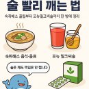 술 빨리 깨는 법｜숙취해소 꿀팁부터 포뉴밀크씨슬까지 한 방에 정리