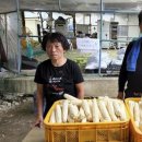 두천농장 이미지