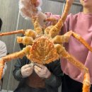 [대구 매천시장] 성인5명 킹크랩 대게 중앙수산 6번 후기