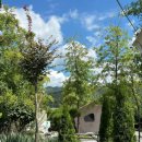 정안당구장 이미지