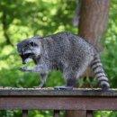 거성자동차종합정비업 | 자동차 검사비용 절약하는 방법 5가지