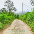 파평체육공원 야구장 이미지