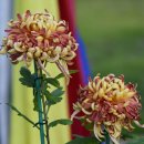 대구수지 이미지