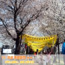 곡성-208 이미지