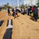 영 농장 이미지