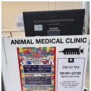 하나동물의료센터 이미지