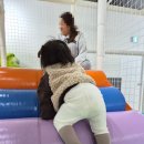 킨더그라운드 | 구미 산동 옥계 키즈카페 킨더그라운드 방문 후기
