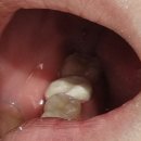 효창치과의원 이미지