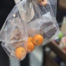 스웜프커피 이미지