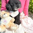 핸드메이드 솜솜 이미지