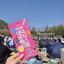 대전석봉초등학교 | [대전축제](실망한 후기 有) 2024 대청호 대덕 뮤직페스티벌 가수라인업, 셔틀버스 노선, 배차간격...