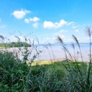 씨유 강진터미널점 이미지