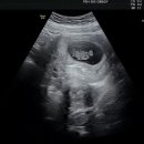 순천365여성의원 이미지