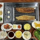 만보민물장어