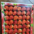 우리들엔영농조합법인 이미지