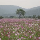 (주)영안유통 | 능엄경 공부(143)- 마지막회