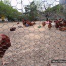 숲속식당민박 이미지