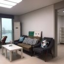 서호초등학교 이미지