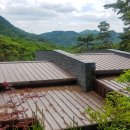 포레스트리솜 이미지