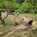 풀꽃유치원 이미지