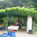 명숙농장 이미지