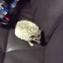 수완종합동물병원 이미지