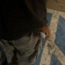 마루콩콩 이미지