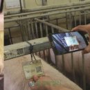 돈수농장 이미지