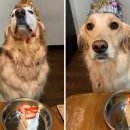 멍케이크 이미지