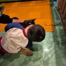 테이블에이 | 인천송도가볼만한곳 추천, 송도 트리플스트리트 테이블에이 후기