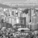 오부자로14 이미지