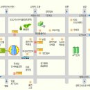 창문초 Daum카페