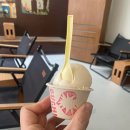 [서울/용산] 한남동 유명 디저트 카페 허니비 서울-&gt;‘터치’