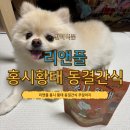 리앤폴 [홍시황태] 면역력 강화 식이섬유 강아지 황태 간식 후기 🐶