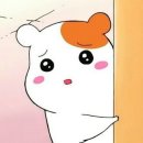 헬로프라자 이미지