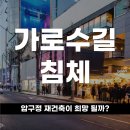 신사초등학교 | 가로수길 침체,압구정 재건축이 희망 될까?