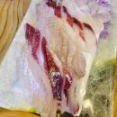 천어횟집 | 부천 춘의동 스끼다시 잘 나오는 천어횟집 내돈내산 후기