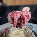 진접맛집 오남 점심 미스터해물칼국수