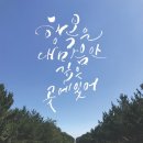 은평천사원 이미지