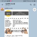 타요타요 펫택시 이미지