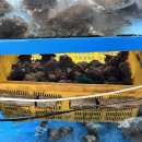 금포펜션 이미지